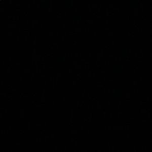 Meet your Posher, Monique